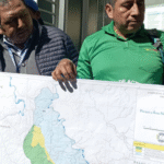 Tala indiscriminada de árboles de eucalipto en Banco Minero desata conflictos en La Paz
