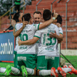 Falta Presencia Estatal en Protección de Áreas Forestales Pone en Riesgo Ecosistemas Críticos