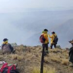 Brasil clasificado ofensivo enfrenta a Chile eliminado y renovado