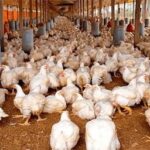 Adrián Pacheco se une al Goianiense y expresa gran felicidad por el nuevo desafío