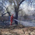 Alcalde bajo la lupa oposición exige informe por presuntas fallas en su seguridad personal