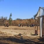 Oriente Petrolero recibe a Real Oruro con Henry Vaca como titular en El Pajonal