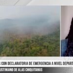 Agroinsumos caros golpean a productores de Tarija aumentan costos de producción