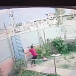 Denuncian a otro hijo del presidente por violencia familiar en caso que conmociona al país