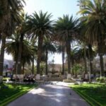 El Tigre asegura su permanencia en Santa Cruz tras partido contra Guabirá