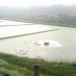 Bolivia se prepara para amistosos internacionales contra rivales africanos y República Dominicana